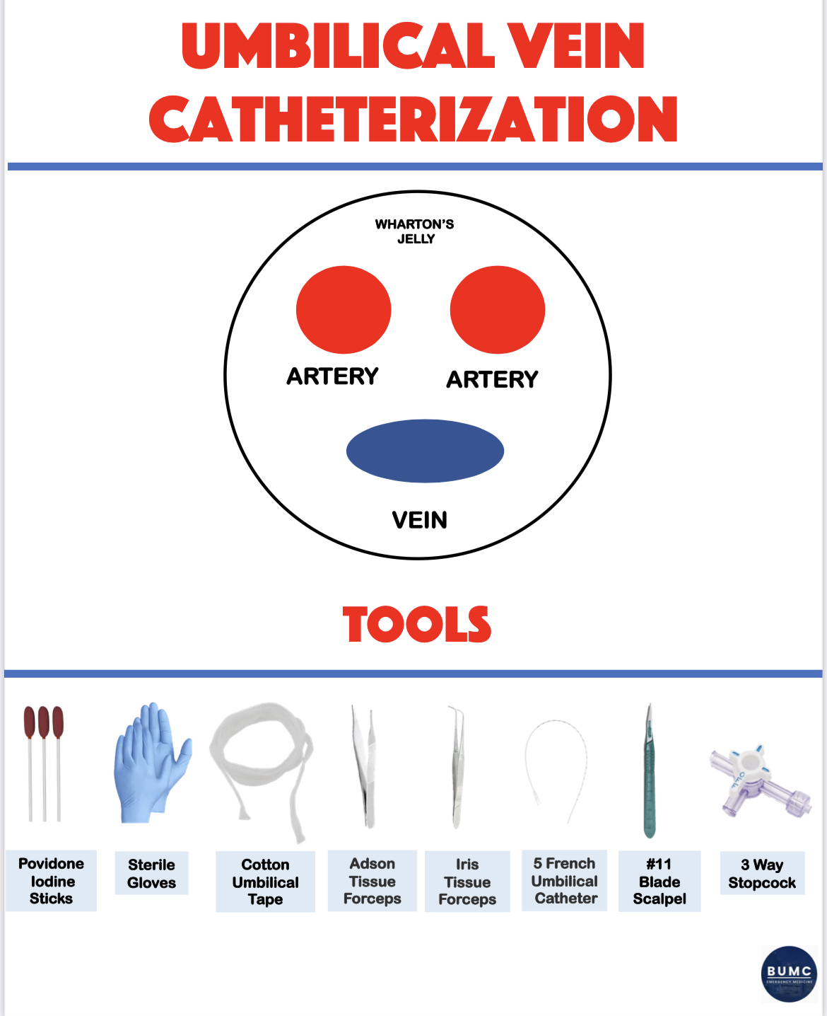 Umbilical Vein Catheterization 1 - BUMCEM